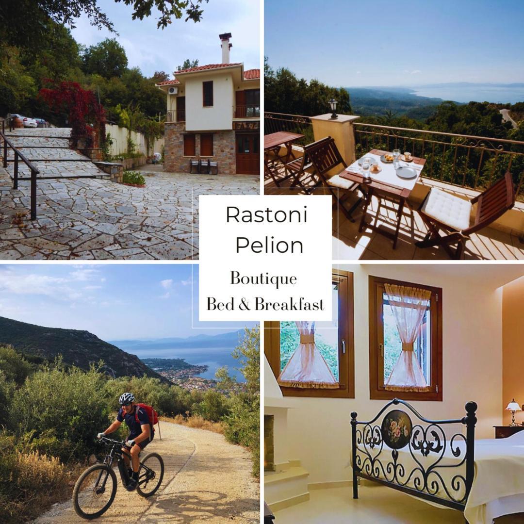 Hotel Rastoni Pelion Vizítsa Exterior foto