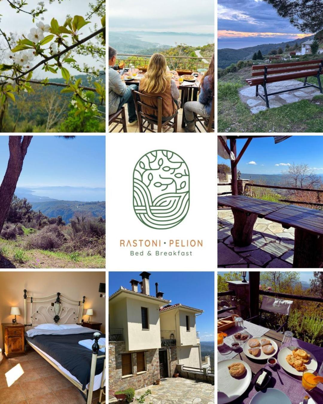 Hotel Rastoni Pelion Vizítsa Exterior foto