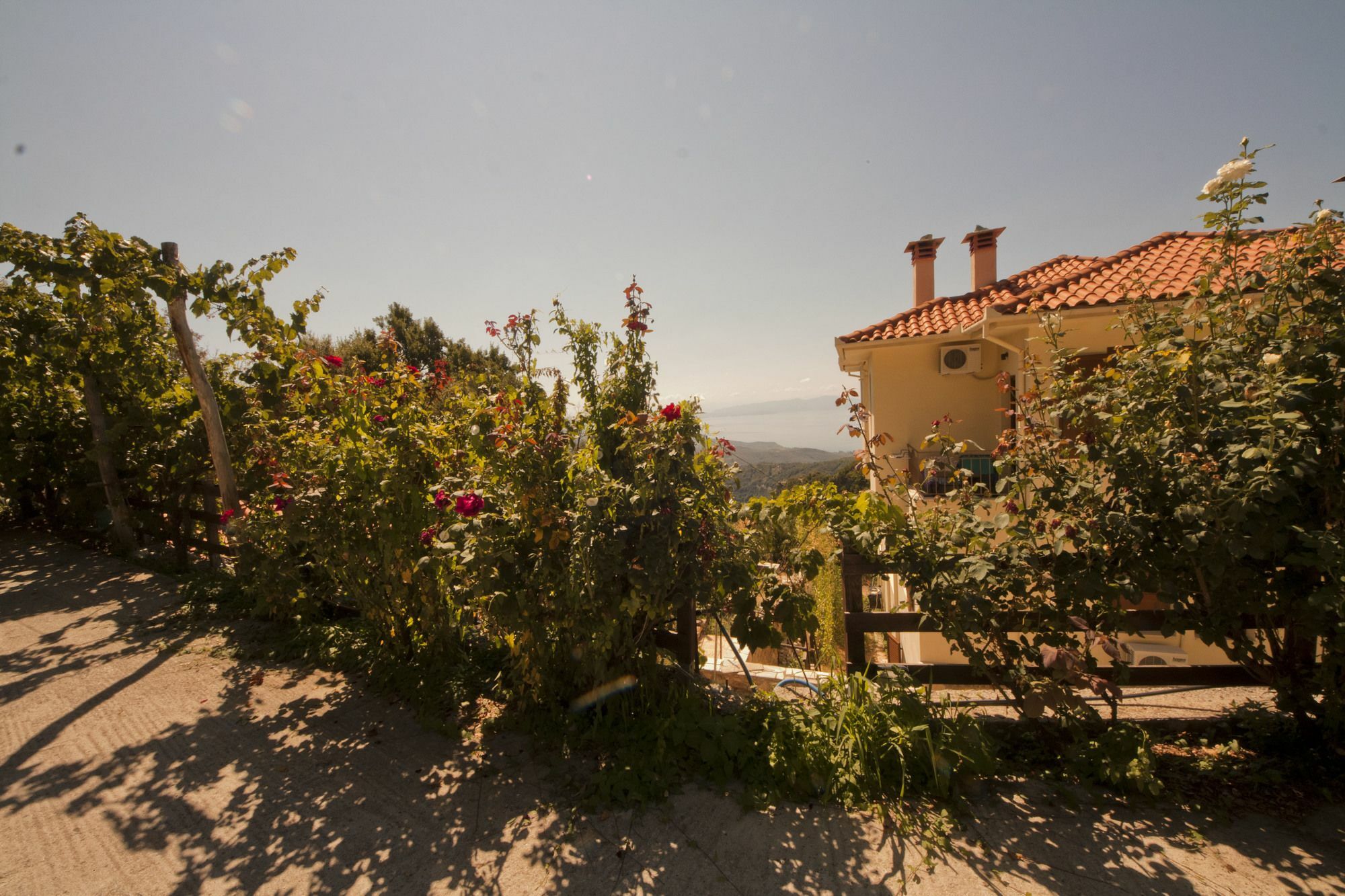 Hotel Rastoni Pelion Vizítsa Exterior foto